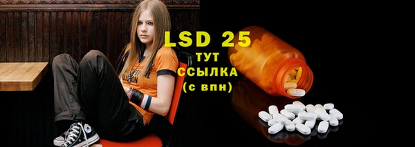 стаф Баксан