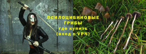 стаф Баксан
