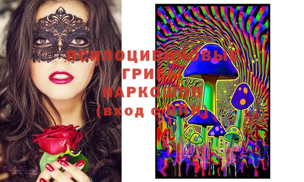 стаф Баксан