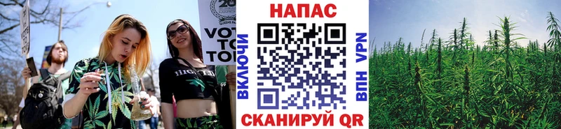 закладка  Печора  Марихуана конопля 